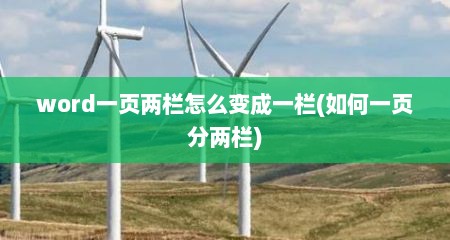 word一页两栏怎么变成一栏(如何一页分两栏)