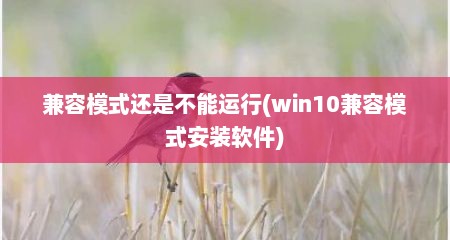 兼容模式还是不能运行(win10兼容模式安装软件)