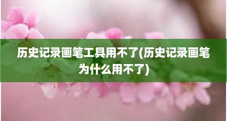 历史记录画笔工具用不了(历史记录画笔为什么用不了)