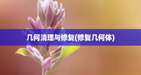 几何清理与修复(修复几何体)