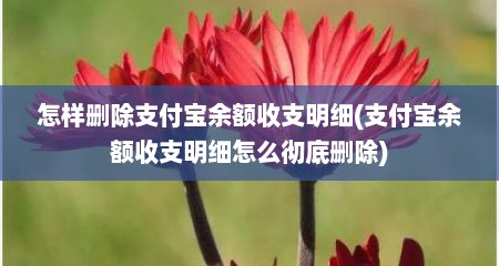 怎样删除支付宝余额收支明细(支付宝余额收支明细怎么彻底删除)