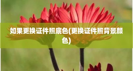 如果更换证件照底色(更换证件照背景颜色)