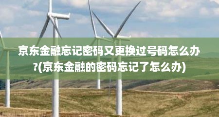 京东金融忘记密码又更换过号码怎么办?(京东金融的密码忘记了怎么办)