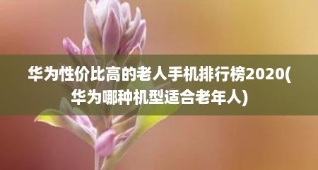 华为性价比高的老人手机排行榜2020(华为哪种机型适合老年人)