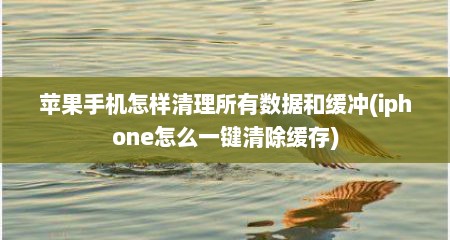 苹果手机怎样清理所有数据和缓冲(iphone怎么一键清除缓存)