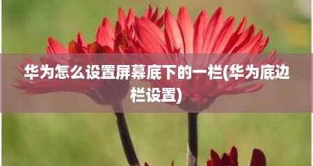 华为怎么设置屏幕底下的一栏(华为底边栏设置)