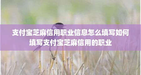 支付宝芝麻信用职业信息怎么填写如何填写支付宝芝麻信用的职业