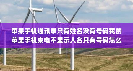 苹果手机通讯录只有姓名没有号码我的苹果手机来电不显示人名只有号码怎么回事