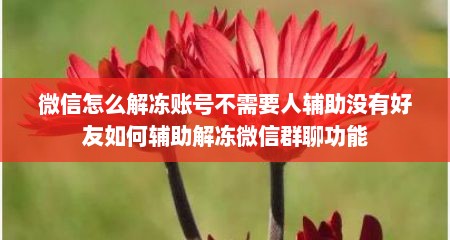 微信怎么解冻账号不需要人辅助没有好友如何辅助解冻微信群聊功能