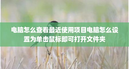 电脑怎么查看最近使用项目电脑怎么设置为单击鼠标即可打开文件夹