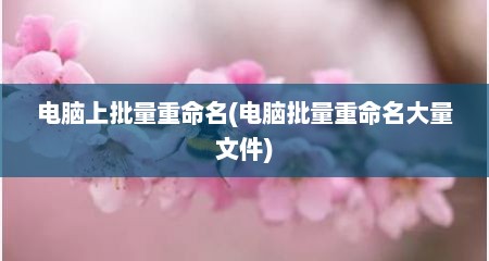 电脑上批量重命名(电脑批量重命名大量文件)