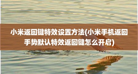 小米返回键特效设置方法(小米手机返回手势默认特效返回键怎么开启)