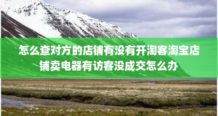 怎么查对方的店铺有没有开淘客淘宝店铺卖电器有访客没成交怎么办