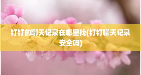 钉钉的聊天记录在哪里找(钉钉聊天记录安全吗)