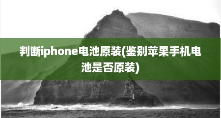 判断iphone电池原装(鉴别苹果手机电池是否原装)