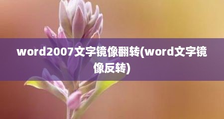 word2007文字镜像翻转(word文字镜像反转)