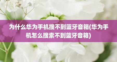 为什么华为手机搜不到蓝牙音箱(华为手机怎么搜索不到蓝牙音箱)