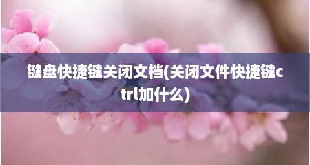 键盘快捷键关闭文档(关闭文件快捷键ctrl加什么)