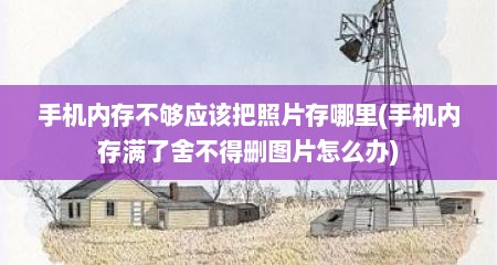 手机内存不够应该把照片存哪里(手机内存满了舍不得删图片怎么办)