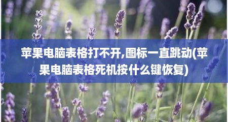 苹果电脑表格打不开,图标一直跳动(苹果电脑表格死机按什么键恢复)