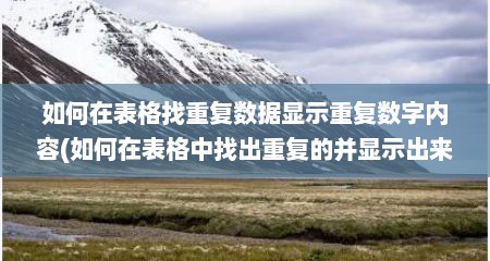 如何在表格找重复数据显示重复数字内容(如何在表格中找出重复的并显示出来)