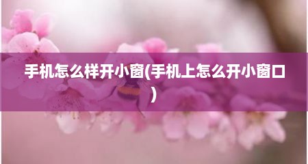 手机怎么样开小窗(手机上怎么开小窗口)