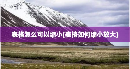 表格怎么可以缩小(表格如何缩小放大)