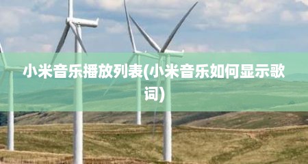 小米音乐播放列表(小米音乐如何显示歌词)