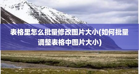 表格里怎么批量修改图片大小(如何批量调整表格中图片大小)