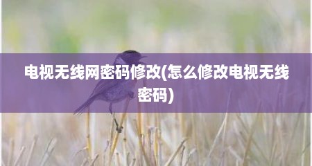 电视无线网密码修改(怎么修改电视无线密码)