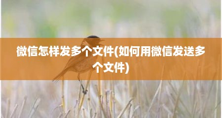 微信怎样发多个文件(如何用微信发送多个文件)