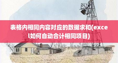 表格内相同内容对应的数据求和(excel如何自动合计相同项目)