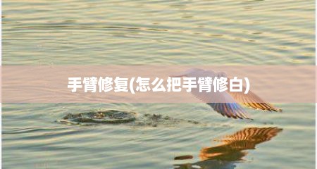 手臂修复(怎么把手臂修白)