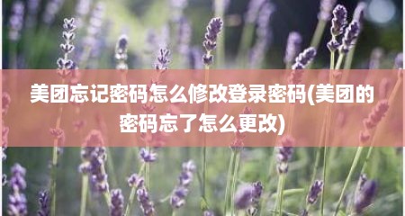 美团忘记密码怎么修改登录密码(美团的密码忘了怎么更改)