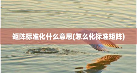 矩阵标准化什么意思(怎么化标准矩阵)