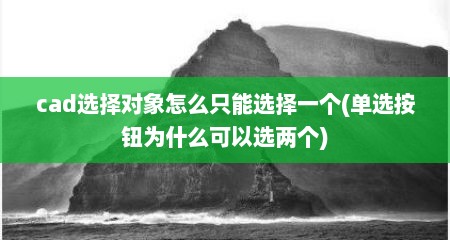 cad选择对象怎么只能选择一个(单选按钮为什么可以选两个)