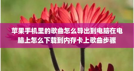 苹果手机里的歌曲怎么导出到电脑在电脑上怎么下载到内存卡上歌曲步骤