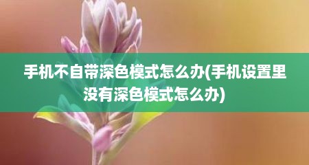 手机不自带深色模式怎么办(手机设置里没有深色模式怎么办)