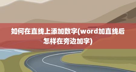 如何在直线上添加数字(word加直线后怎样在旁边加字)