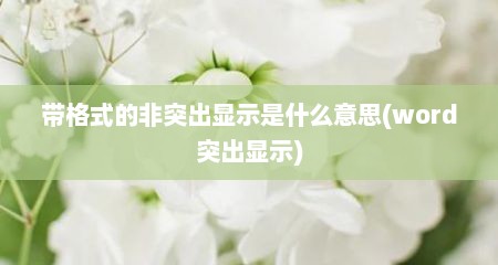 带格式的非突出显示是什么意思(word突出显示)