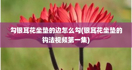 勾银耳花坐垫的边怎么勾(银耳花坐垫的钩法视频第一集)