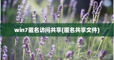 win7匿名访问共享(匿名共享文件)