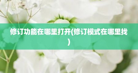 修订功能在哪里打开(修订模式在哪里找)