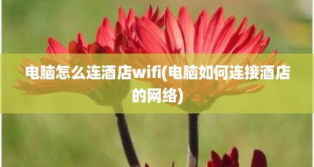 电脑怎么连酒店wifi(电脑如何连接酒店的网络)