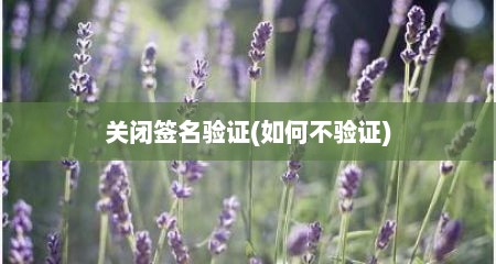 关闭签名验证(如何不验证)