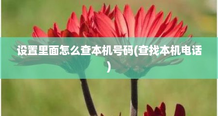 设置里面怎么查本机号码(查找本机电话)