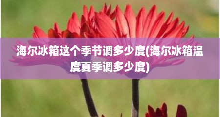 海尔冰箱这个季节调多少度(海尔冰箱温度夏季调多少度)