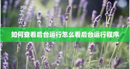 如何查看后台运行怎么看后台运行程序