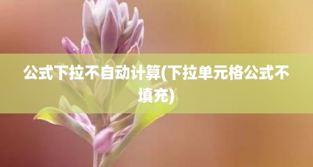公式下拉不自动计算(下拉单元格公式不填充)