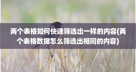 两个表格如何快速筛选出一样的内容(两个表格数据怎么筛选出相同的内容)